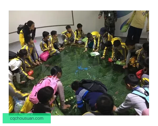 zooskoolknotty人陪伴猪群探索温暖森林学校奇遇记